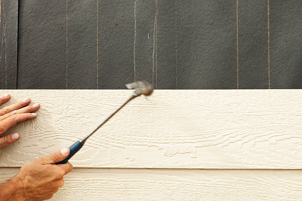 Best Custom Trim and Detailing for Siding  in Cortland, OH